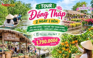 TOUR ĐỒNG THÁP - CAO LÃNH - SA ĐÉC 2 NGÀY 1 ĐÊM