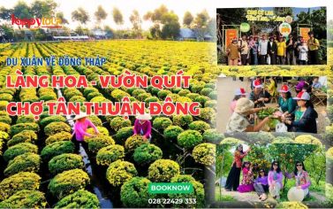 TOUR ĐỒNG THÁP - LÀNG HOA SA ĐÉC - VƯỜN QUÝT LAI VUNG - CHỢ QUÊ 1 NGÀY