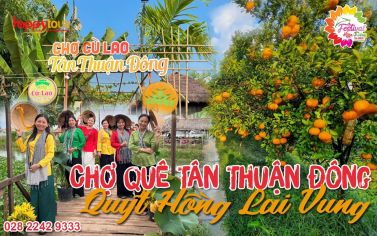 TOUR ĐỒNG THÁP - LÀNG HOA SA ĐÉC - VƯỜN QUÝT LAI VUNG - CHỢ QUÊ 1 NGÀY